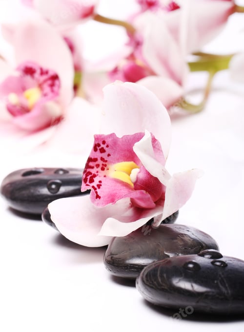 Preview: Spa stones and beautiful orchid