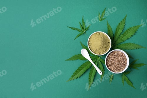 Preview: Hemp products - cannabis leaves, seeds, hemp protein powder, flour on green background. Top view
