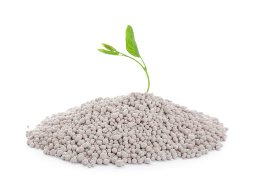 Preview: Pile of chemical fertilizer and green plant isolated on white. Gardening time