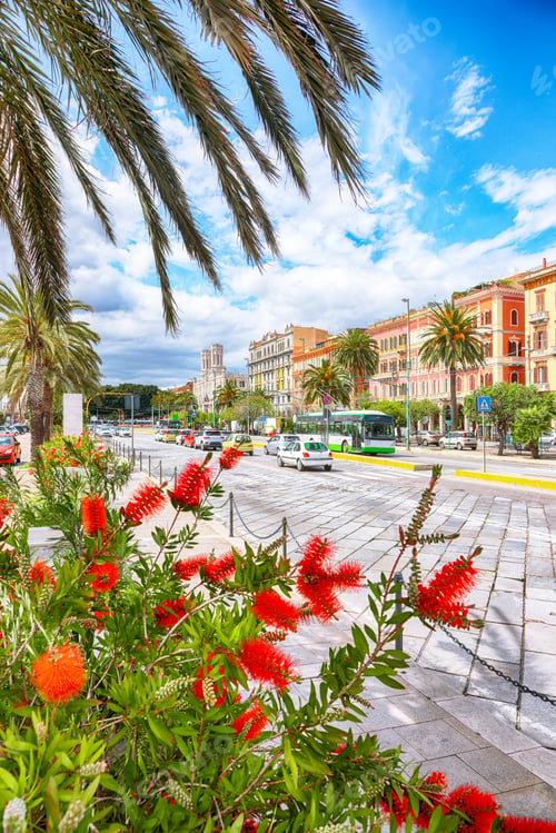 Preview: Street with typical architecture of the old center of Cagliari and Town Hall, Municipio di Cagliari.