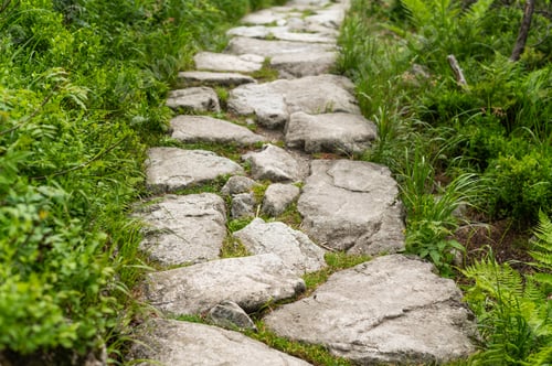 Preview: A path is paved with large stones of different shapes.