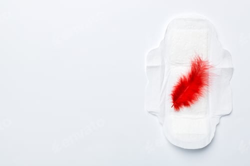Preview: Women hygiene products or Sanitary pad with red feather on colored background.