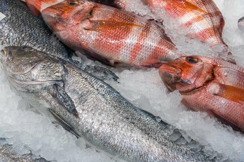 Preview: Fish for sale at a market