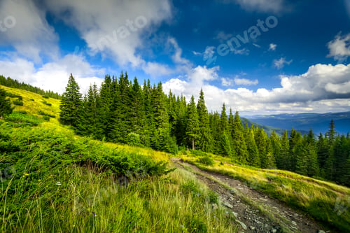 Preview: summer landscape