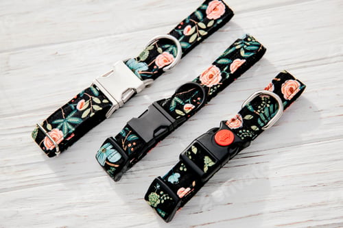 Preview: Dog Collar and Leash set. Pet Supplies and Walking Gear Collection