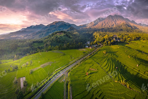 Preview: Beautiful morning view indonesia Panorama Landscape paddy fields with beauty color and sky natural l