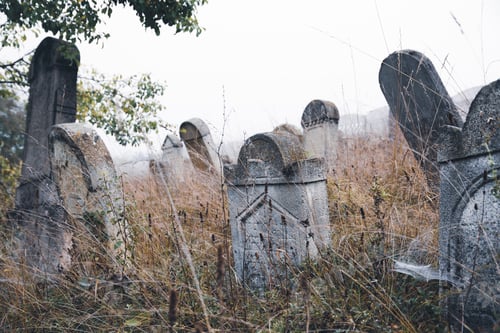 Preview: Spooky Cemetery. Halloween background