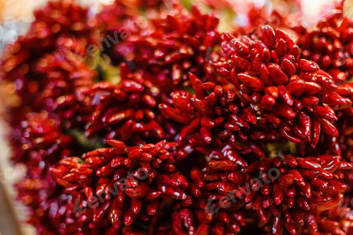 Preview: red hot chili peppers. Dried red chili or chilli cayenne pepper.