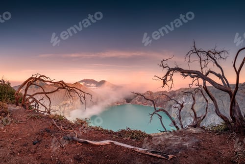 Preview: Dried tree on active volcano crater with turquoise lake at dawn