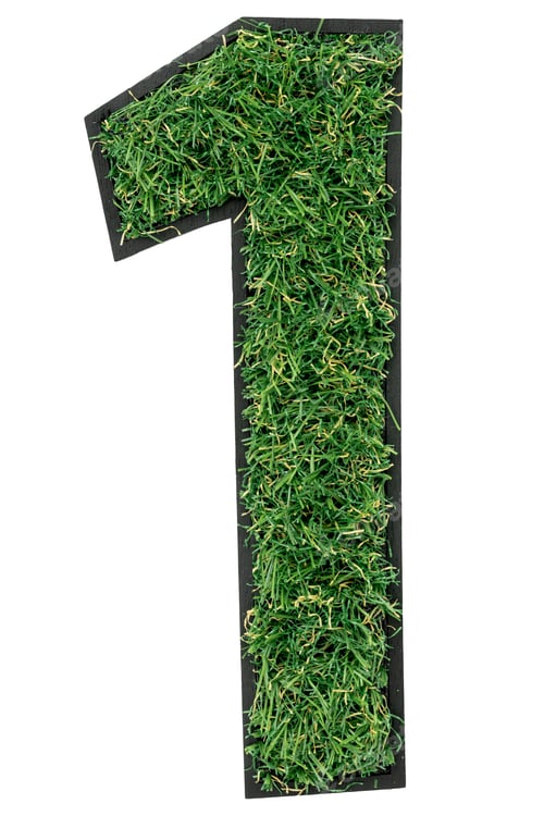 Preview: Number 1 made of green grass isolated on white.