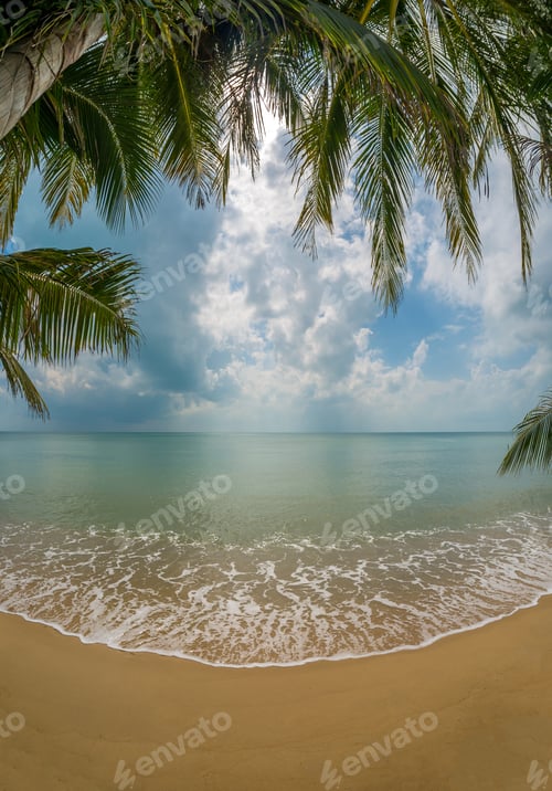 Preview: Exotic scene of Caribbean Island.