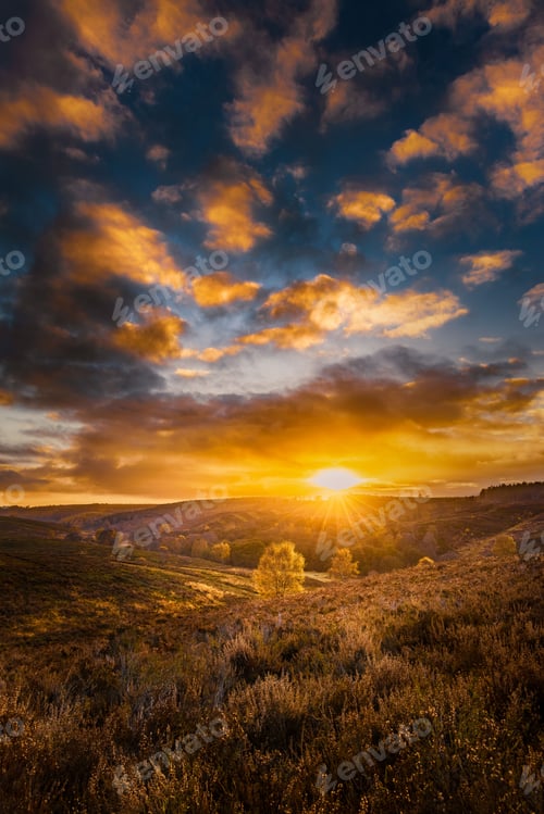 Preview: Vertical shot of a beautiful sunset with a dramatic sky in the background, Cannock Chase, England
