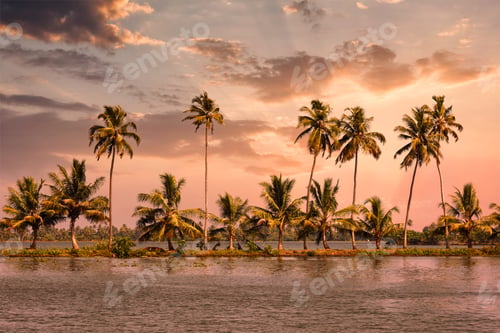 Preview: Kerala backwaters with palms on sunset