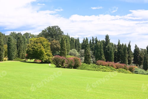Visualização: Parque de verão
