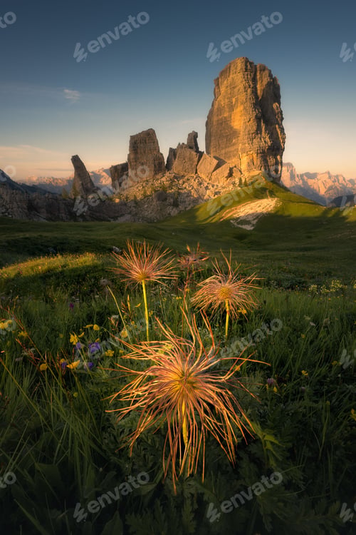 Preview: Vertical shot of flowers in a garden with ancient rocks in the background in Cinque Torri