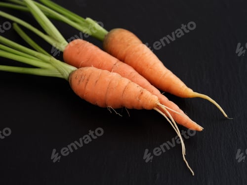 Preview: Freshly harvested carrots