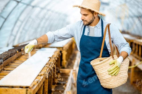 Preview: Man working on a farm for snail growing