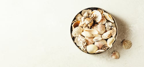 Preview: Various shells in a metal jar