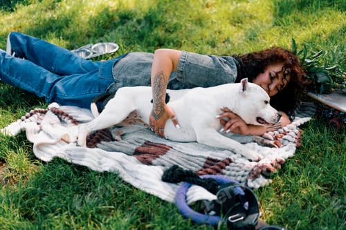 Preview: white dog of the pit bull breed Staffordshire terrier in the park the owner is resting stroking her