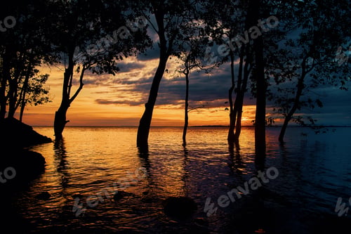 Preview: Silhouette scene the tree in the flooded land with sunset