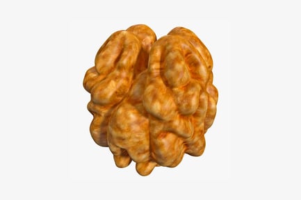 Preview: Layered human brain structure