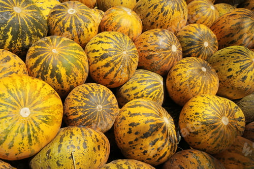 Preview: Melon