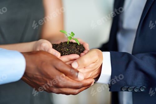Preview: Closeup shot of a group of businesspeople holding a plant growing out of soil