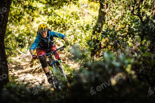Preview: Mountain biker conquers a forest trail with determination