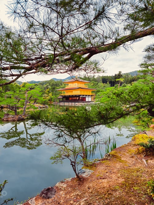 Preview: Lake In Japan With An Old Pagoda