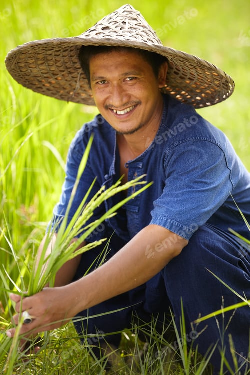 Preview: Portrait of a worker in the rice fields of Thailand