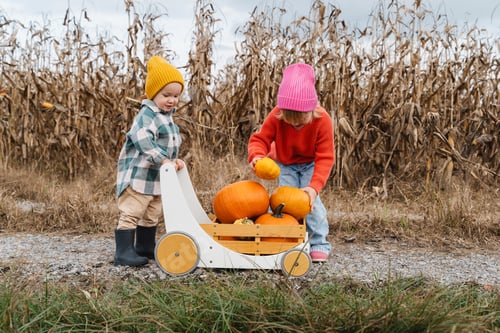 Preview: Children collecting pumpkins and playing with wooden wagon in pumpkin patch.