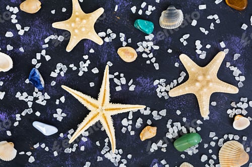 Preview: Seashell and starfish on dark background. Top view
