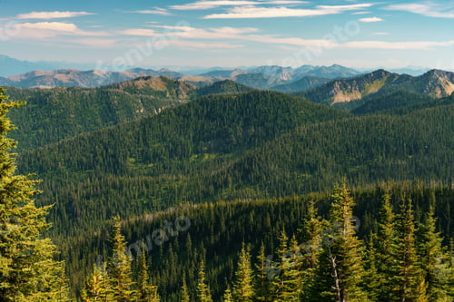 Preview: Summer On Columbia Mountain
