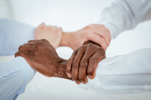 Preview: United Through Their Diversity