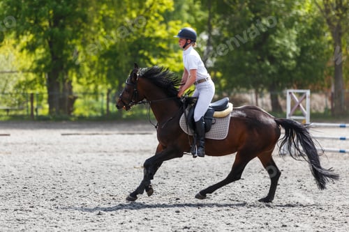Preview: Young sportswoman riding horse on her showjumping course