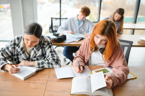 Preview: Students studying in library or classroom
