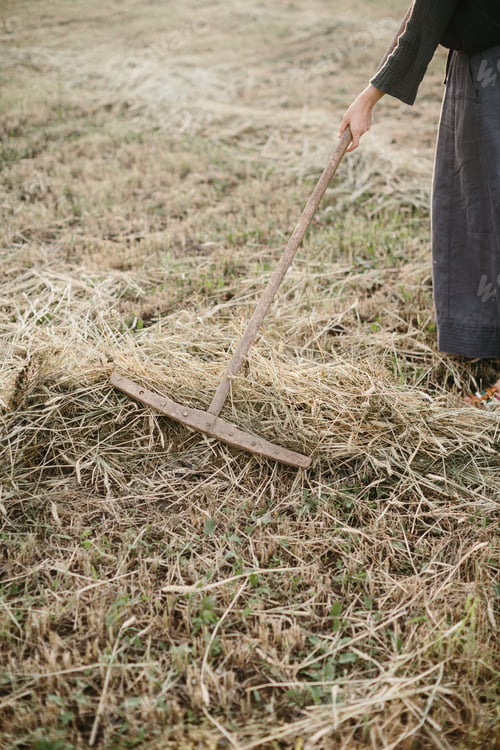 Preview: Farmer Using Rake to Work in Field of Freshly Harvested Hay