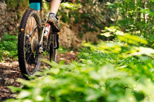 Preview: wheels of a mountain bike riding on a forest road