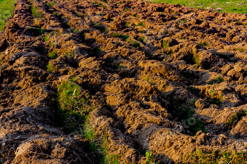 Preview: Freshly turned soil in the late afternoon sun
