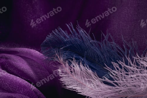 Preview: Wave of Elegant Violet Textile Texture with Fine Feathers