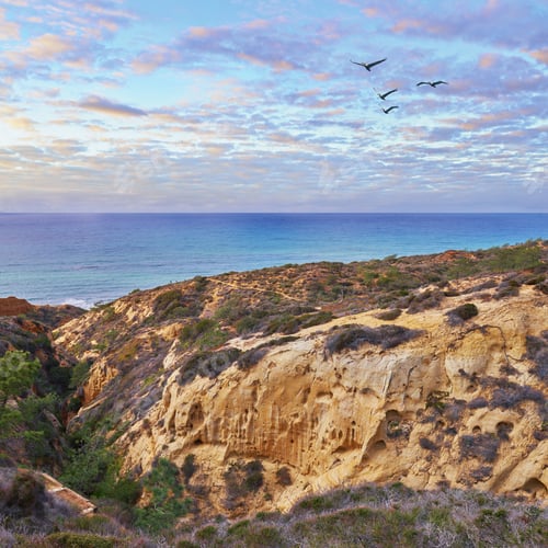 Preview: Torrey Pines State and Beach Park - San Diego, California, USA