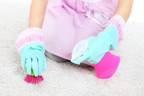 Preview: Woman cleaning stains on a carpet