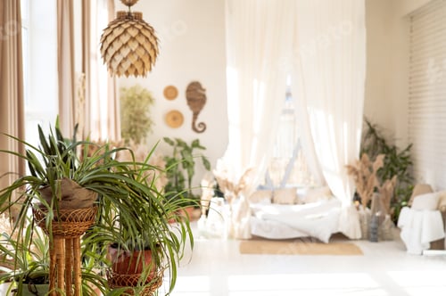 Preview: Stylish room interior with different house plants