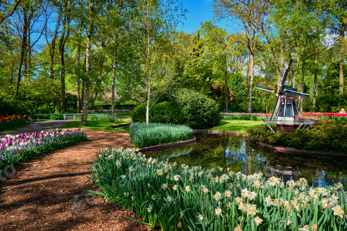Preview: Keukenhof flower garden. Lisse, the Netherlands
