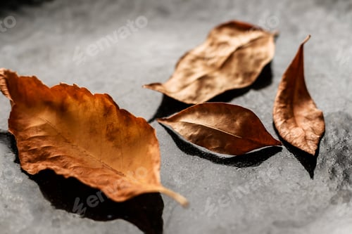 Preview: Autumn leaves