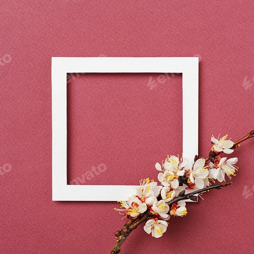 Preview: White frame and apricot branch with flowers