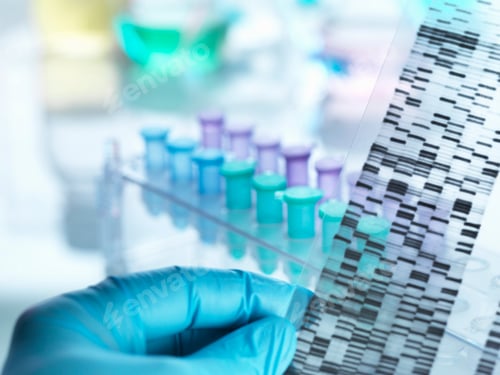 Preview: Scientist holding DNA gel in front of samples for testing in laboratory