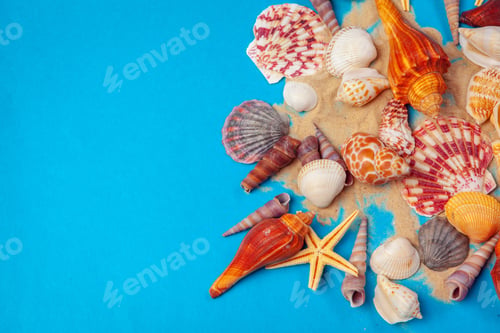 Preview: Flat lay. Top view. Frame of shells of various kinds on a blue background