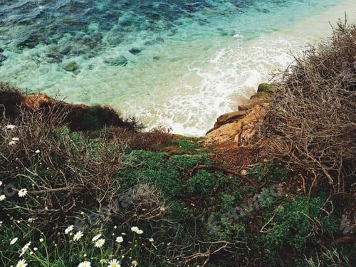 Preview: La Jolla Cove