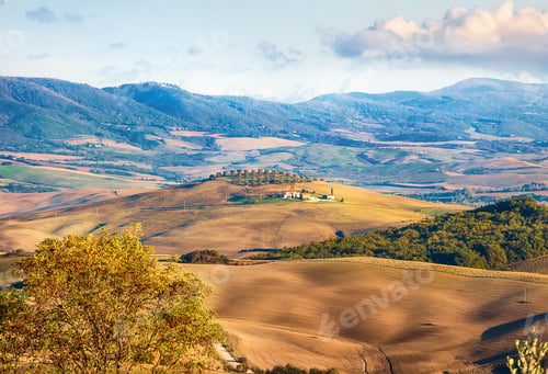 Preview: Typical Italian landscape with farmland, olive trees, wheat fields in Siena, Tuscany, Italy